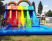 Commercial Kids Inflatable Water Slide Playground Jumping Bouncer